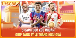 3 Cách Đọc Kèo Chuẩn Giúp Tăng Tỷ Lệ Thắng Hiệu Quả