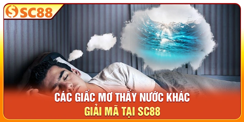 Các giấc mơ thấy nước khác giải mã tại SC88