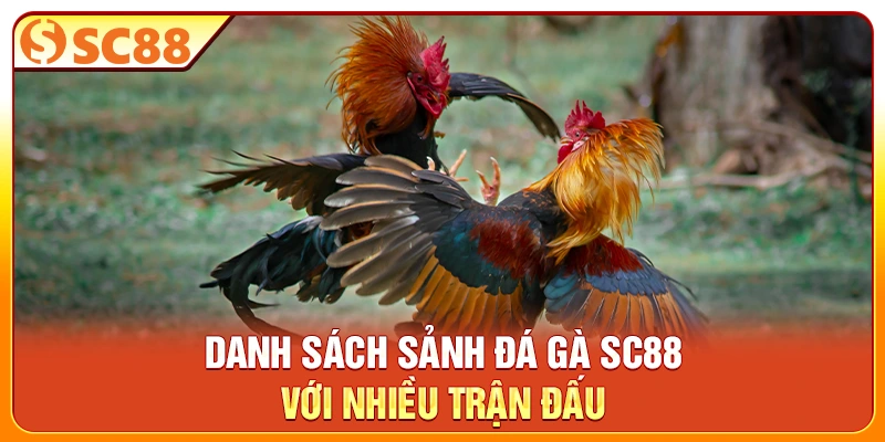 Danh sách sảnh đá gà SC88 với nhiều trận đấu